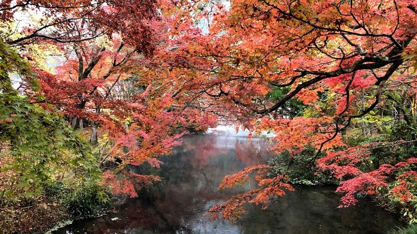 日本OL心中第一名的旅遊勝地!九州溫泉鄉由布院一日遊行程推薦