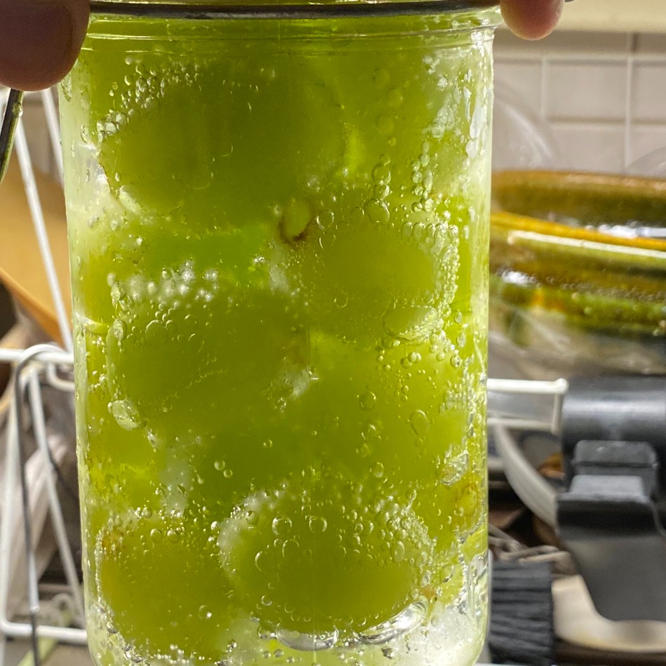 日本網友瘋傳麝香葡萄嶄新吃法!欲罷不能的美味竟然簡單到不行