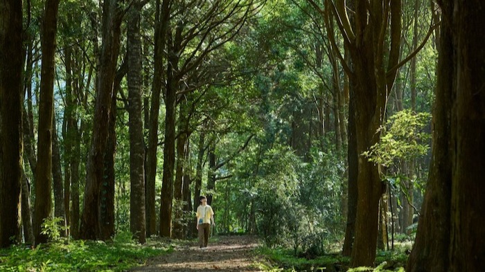 虹夕諾雅 谷關「數位排毒：喚醒感官之旅」於溪谷幽境中重拾生三天兩夜住宿活感性