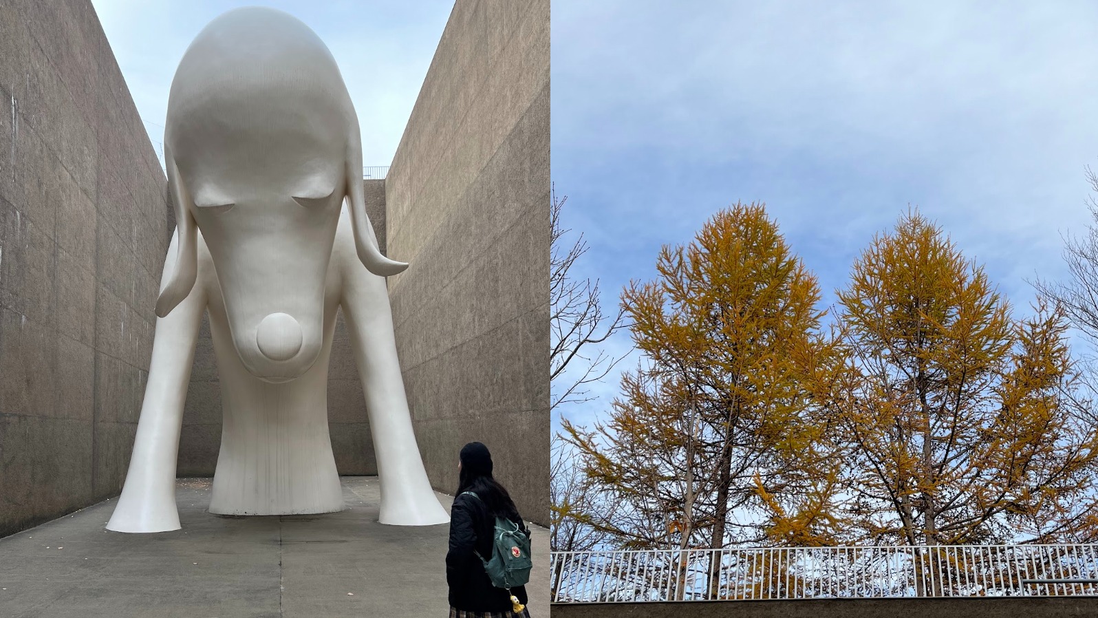 秋日青森一日遊散策提案，充分享受藝術與甜點的北國日常！