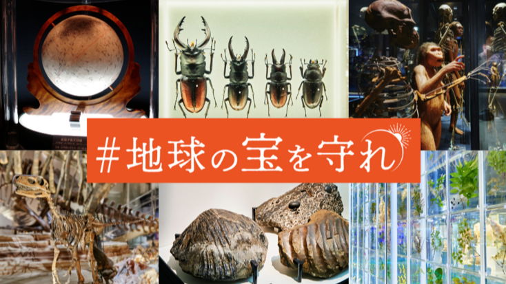 回饋品太豪華?日本國立科學博物館發起群眾募資半天就募得一億元!