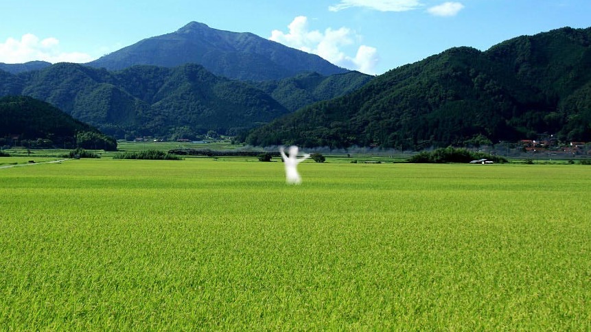 在田野出現的話絕對不能仔細去看！讓人聞風喪膽的日本都市傳說「扭來扭去」