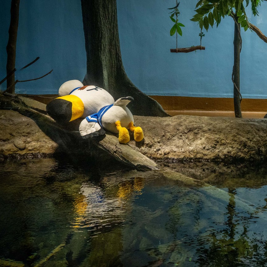 呂遊躺著等你來！《集合啦！動物森友會 》× Xpark海洋生物互動展！人氣角色、探索任務與原創周邊一次登場