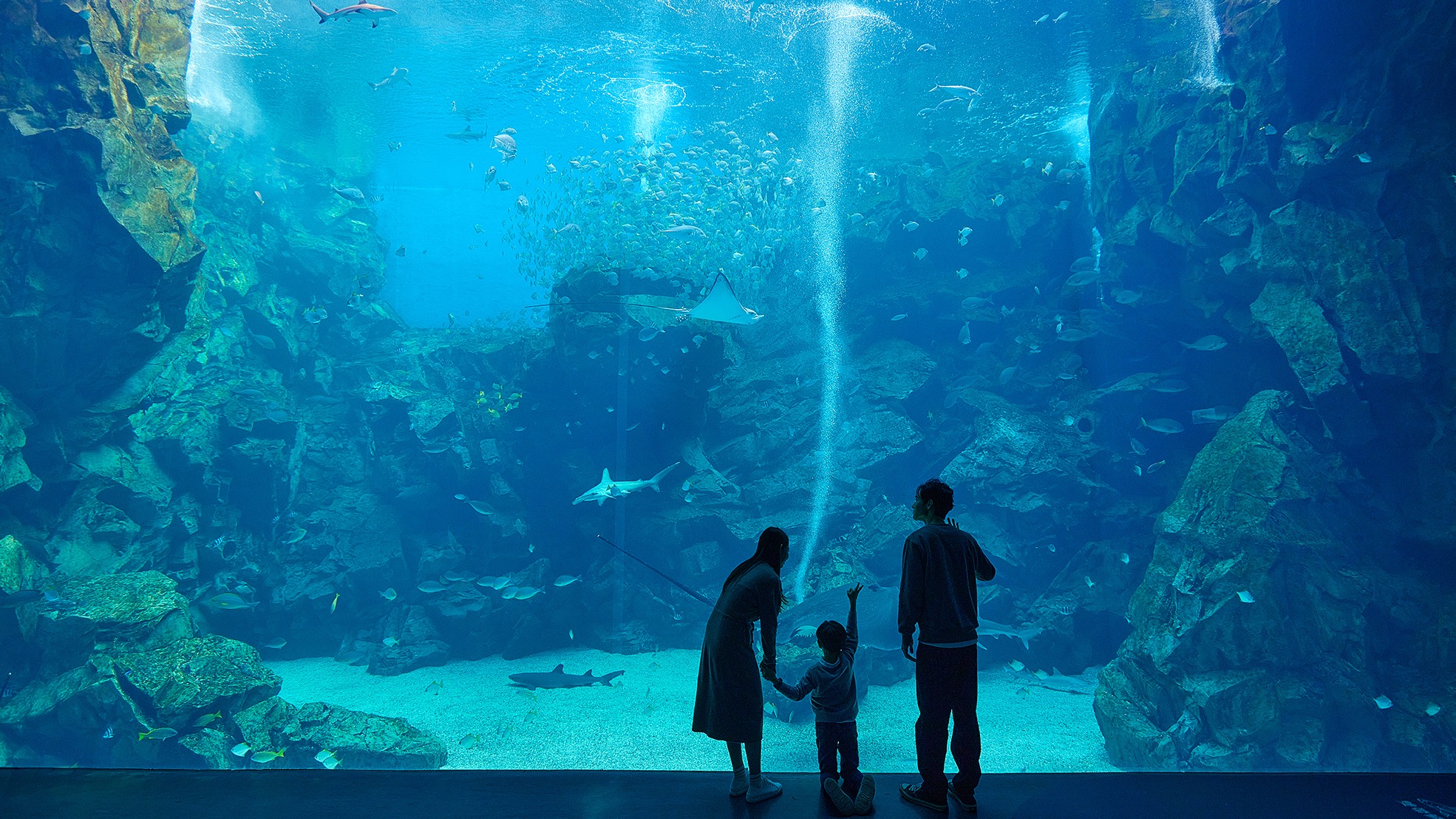 遇見有溫度的海洋魅力——Xpark新年度目標「打造會進化的水生公園」