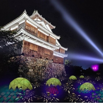 2023年秋冬點燈活動開跑!京阪神各地燈光秀攻略,二條城與平安神宮也染上絢麗色彩