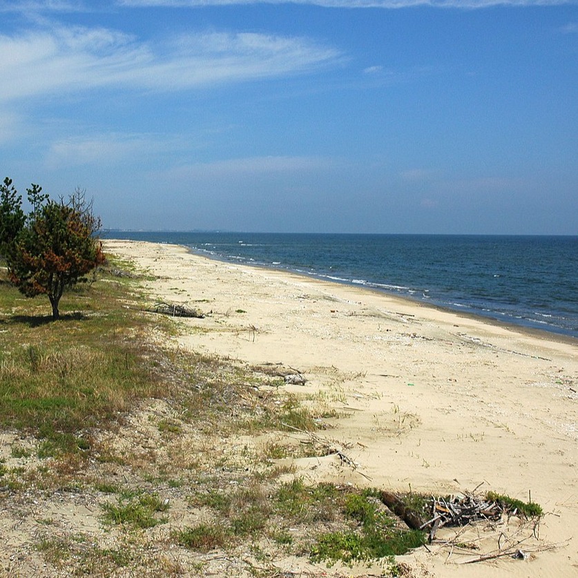 海中有身影拉住了她們?日本最嚴重的海岸事故「橋北中學校水難事件」