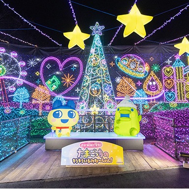 2025 日本聖誕活動10選懶人包！塔麻歌子燈光秀、聖誕市集逛起來