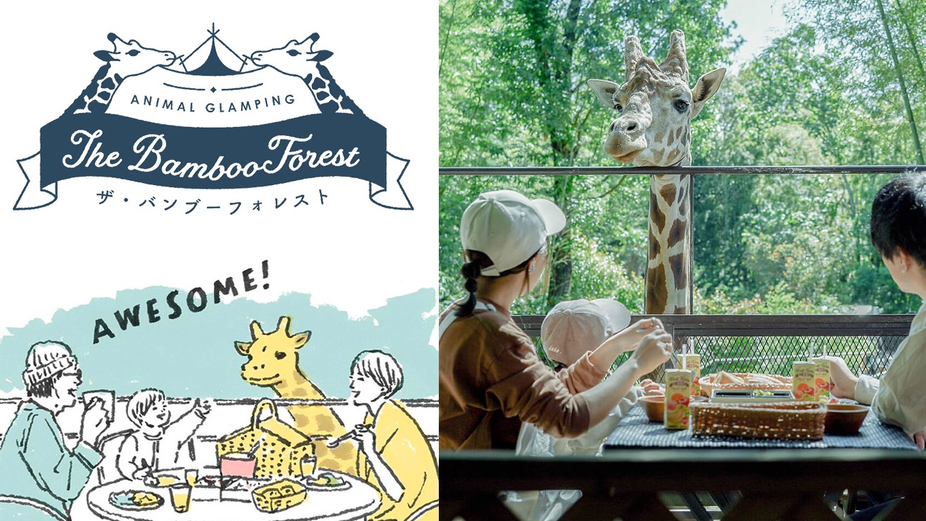 與長頸鹿共進早餐？近距離接觸可愛動物，日本療癒景點3選