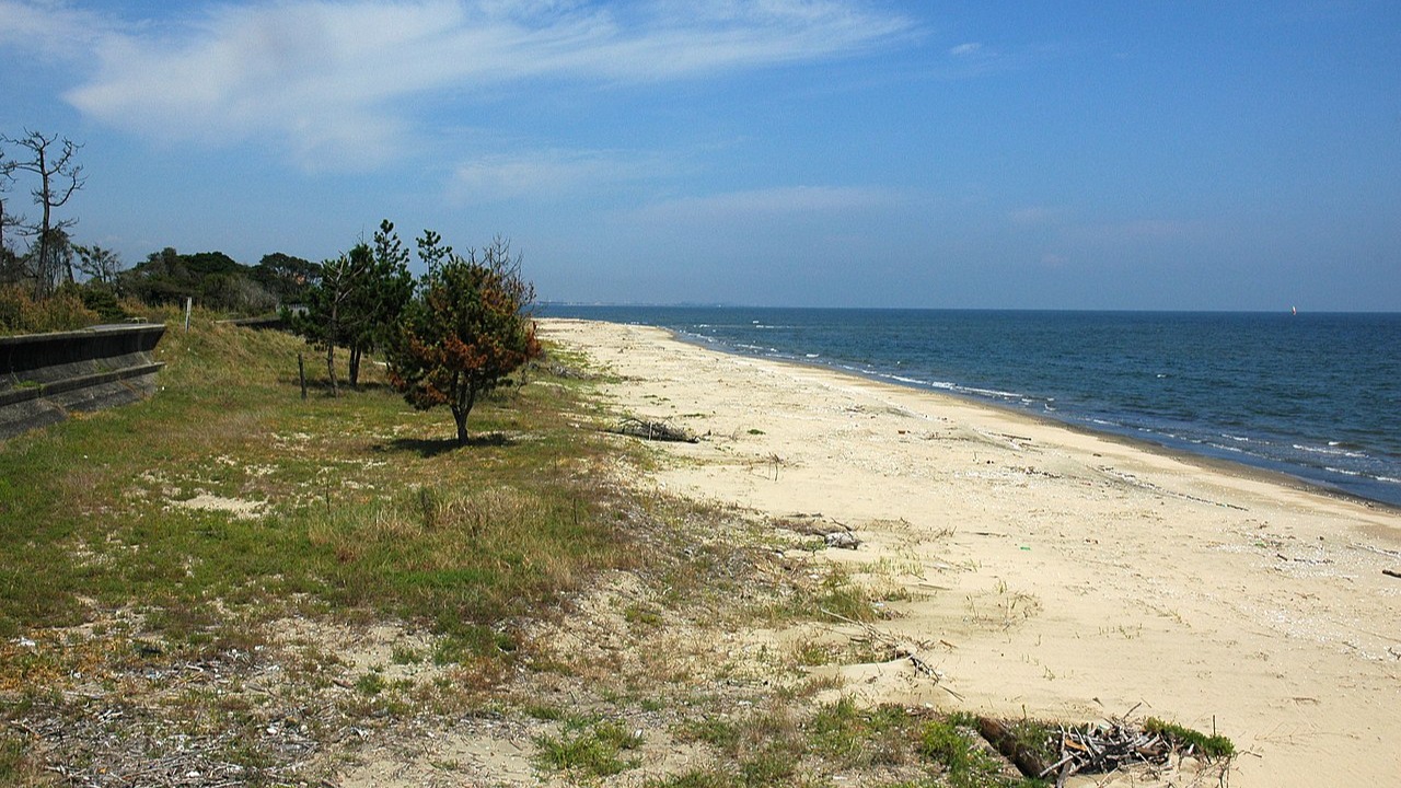 海中有身影拉住了她們？日本最嚴重的海岸事故「橋北中學校水難事件」