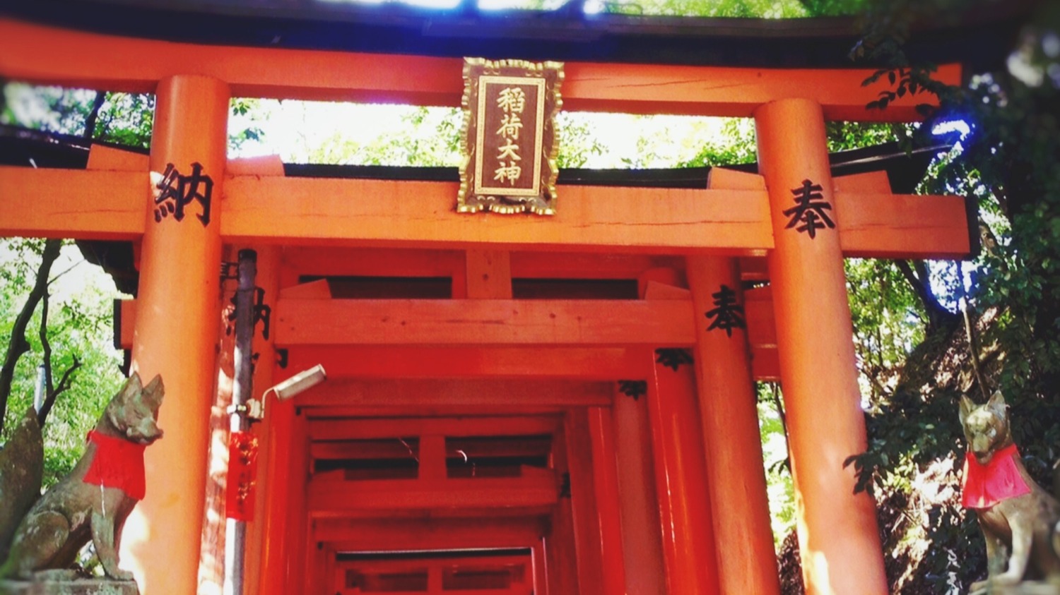 日本常見的神社到底拜什麼?日本各地神社祭神與文化小知識