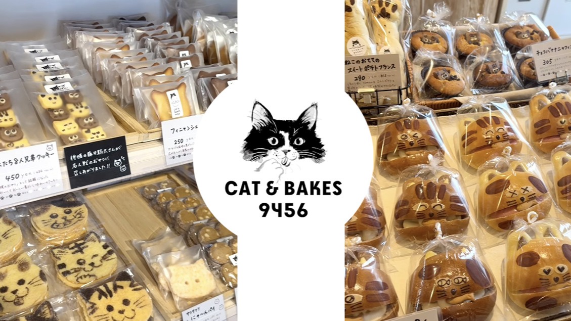 靜岡人氣烘焙店「CAT ＆ BAKES 9456 」，這裡有滿滿的貓貓造型麵包與餅乾