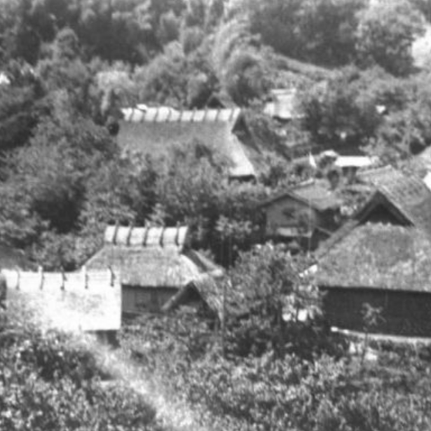 曾經溫柔的少年化身厲鬼?屠村殺人事件「津山事件」