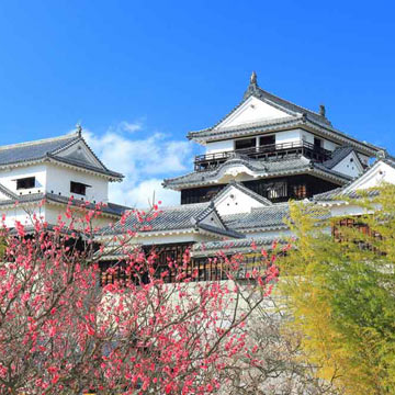 台灣遊客旅日平均提前近三個月開始預訂住宿？遊日回訪更深度、二線城市及地方特色景點旅遊比例增