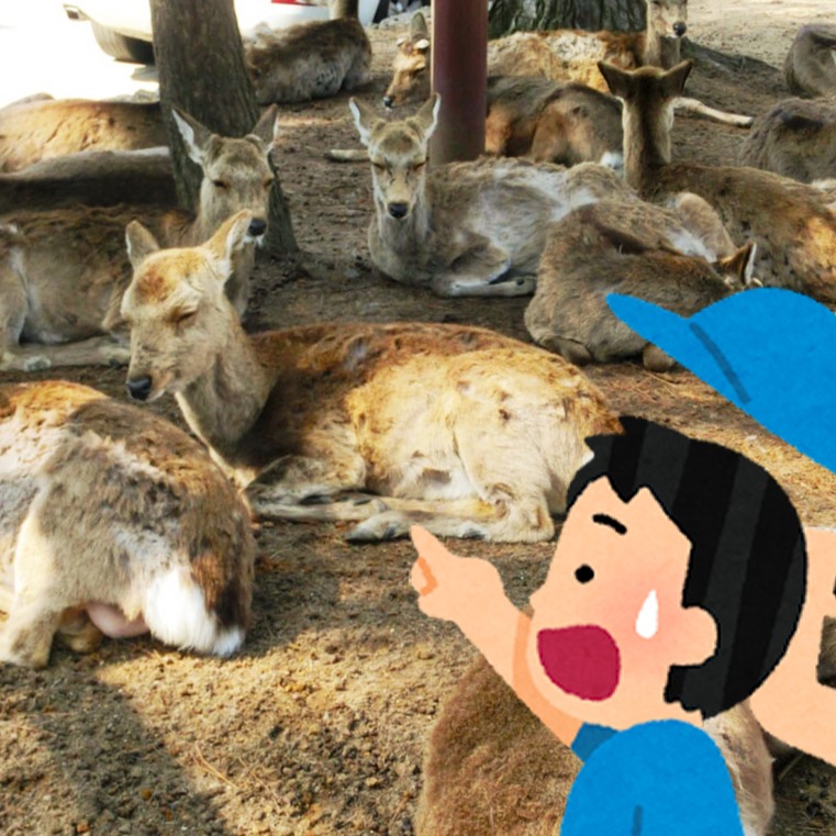 一講這個就知道是日本哪個縣！各地縣民猜猜樂：說到危險駕駛就想到名古屋？