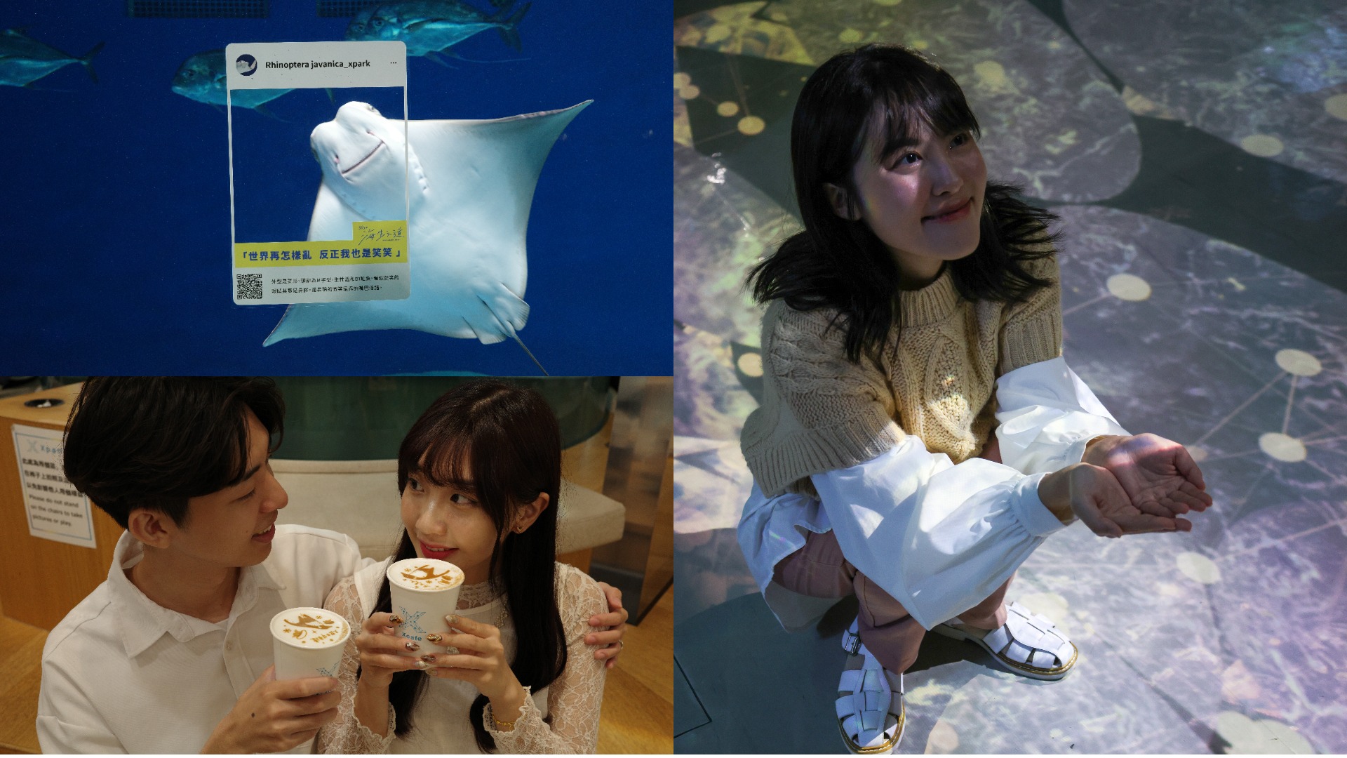 Xpark 12月浪漫又嗨森?365 種海生之道、冬の水族館戀愛物語繽紛亮點等你來體驗!