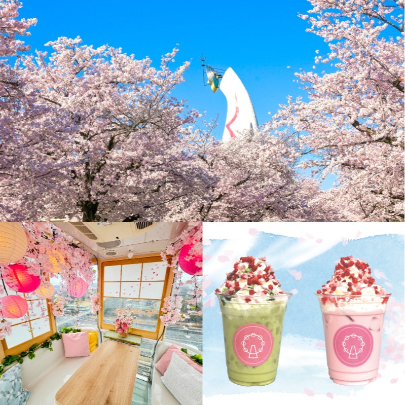 大阪萬博紀念公園「SAKURA EXPO 2025」3月20日登場！  漫步櫻花大道賞夜櫻、搭上日本最高摩天輪被櫻花包圍