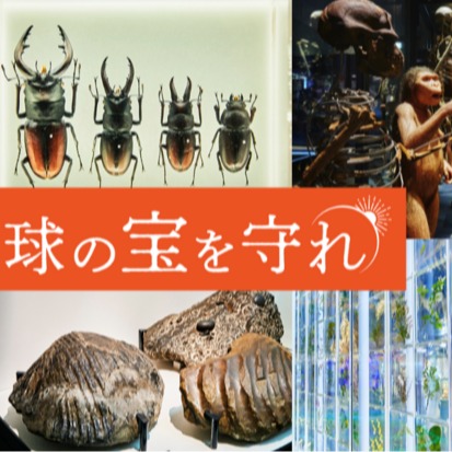 回饋品太豪華？日本國立科學博物館發起群眾募資半天就募得一億元！