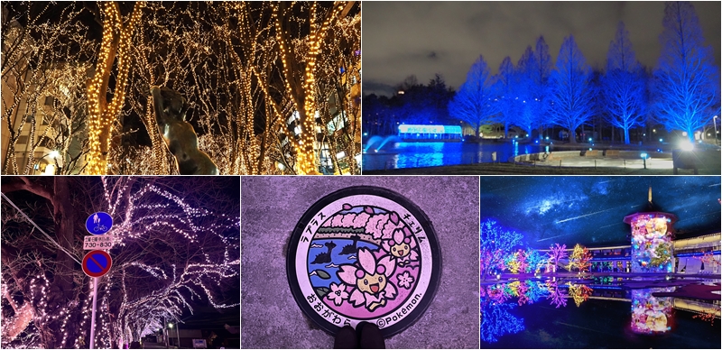 2023仙台冬季點燈活動特輯！睽違四年點燈的定禪通太美啦