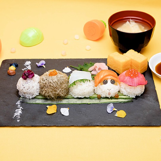 PUIPUI上路吃飯去!萌翻天的《天竺鼠車車》期間限定主題餐廳