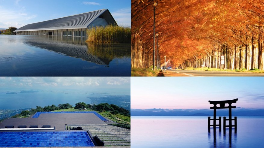 滋賀旅遊必訪景點10選:琵琶湖秘境、落羽松絕景、國寶名城、忍者之家一次玩透透!