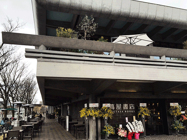 京都新開幕景點！平安神宮旁的蔦屋書店〜2樓沙發區眺望平安道上大鳥居