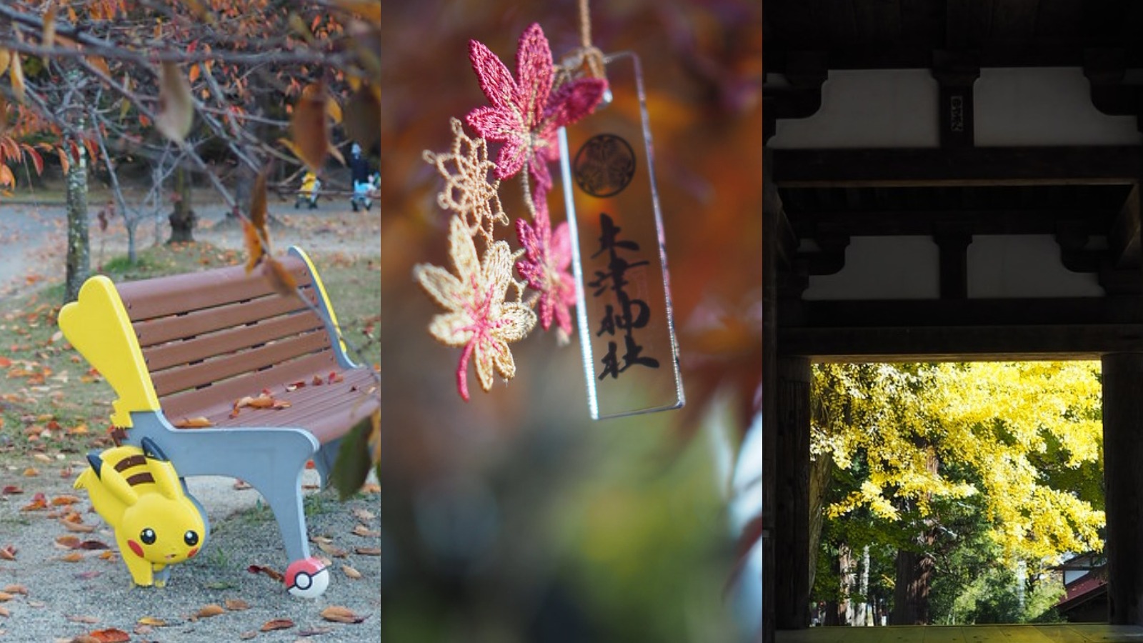 福島一日遊｜玩好玩滿！走進吉利蛋公園、森林系古社巡禮