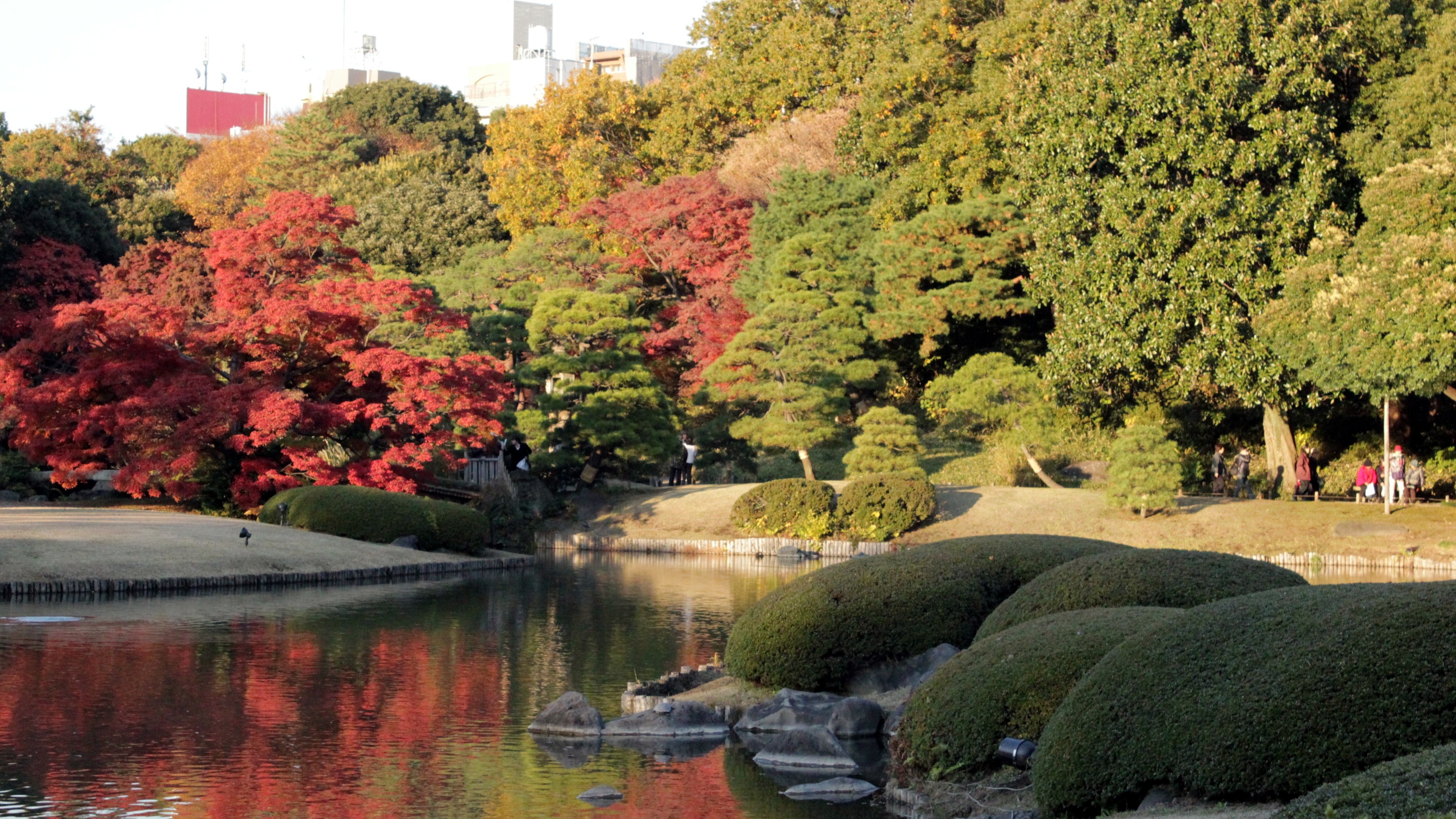 巢鴨周邊一日遊，賞楓、泡湯、大啖咖哩烏龍麵，感受東京下町在地氛圍