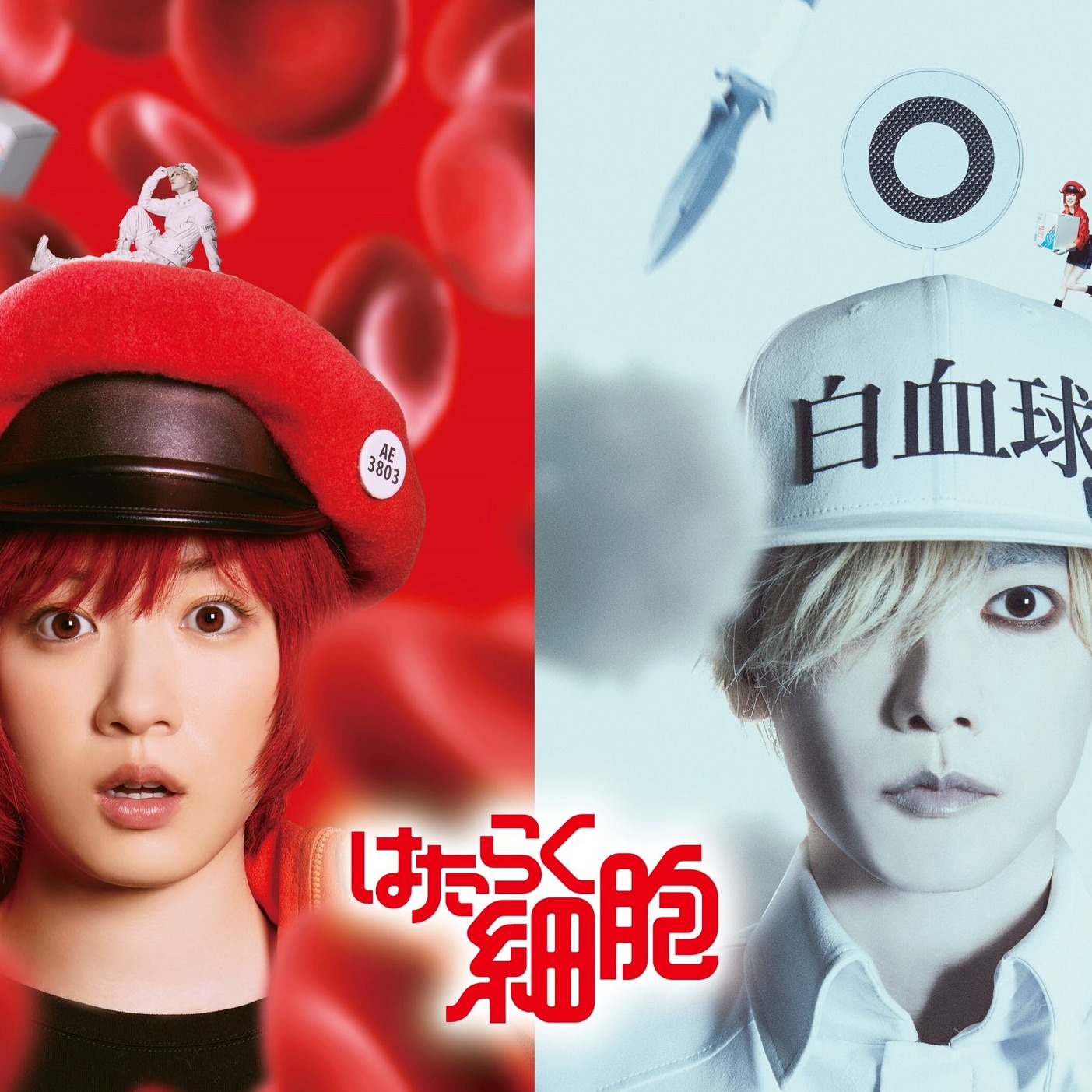 工作細胞真人版？永野芽郁與佐藤健分別飾演白血球與紅血球！帶你回顧作品角色魅力