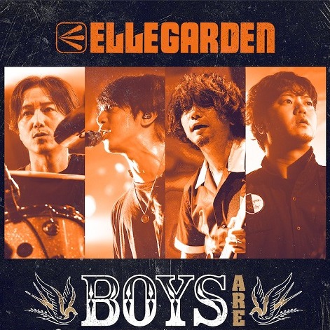 【訪問】日本傳奇樂團「ELLEGARDEN」出道22年以來首次來台辦專場，細美武士分享火球祭的回憶，向歌迷喊話「我們11月見！」