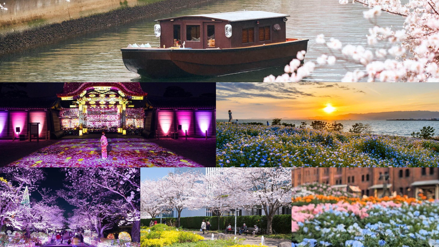 2024年春天賞花活動推薦六選，從河上賞櫻到日本古城天天都精彩