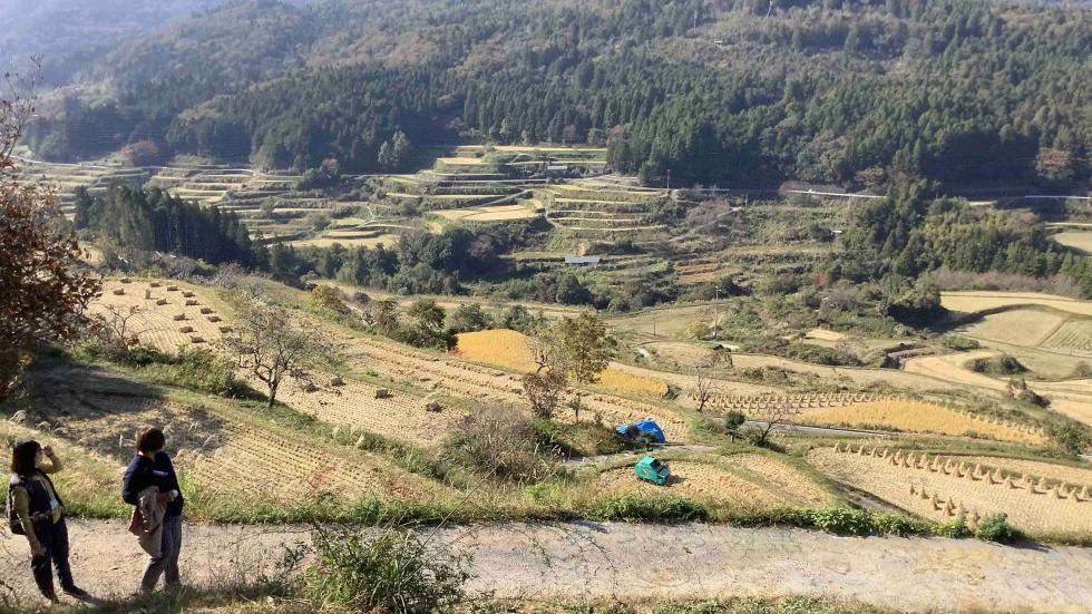 黑潮君為台鋼雄鷹應援 OMO7高知正式開幕 「滿喫高知深度旅」觀光計畫啟動