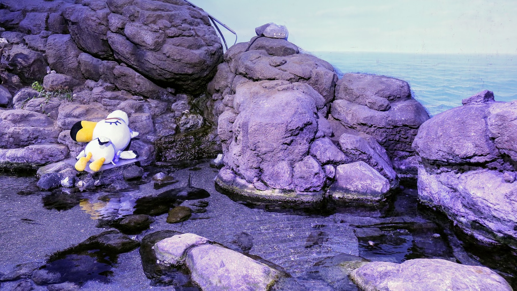 集合啦！動物森友會水族館化身實境  橫濱八景島海島樂園x動森聯名夏日海洋生物展