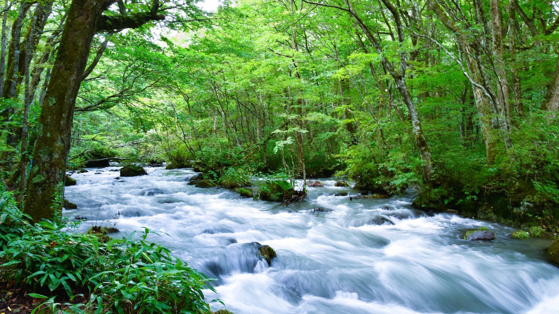 日本人也想逃離夏日熱浪！日本涼爽避暑勝地十選