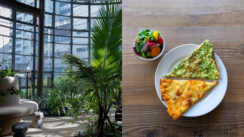 東京澀谷植物園中心咖啡廳介紹！讓植物來治癒下班後身心俱疲的你