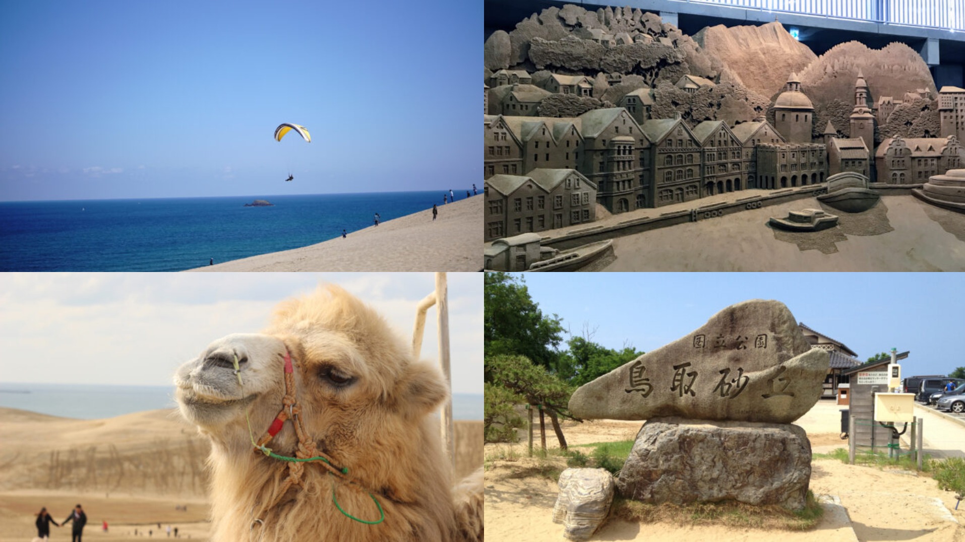 2025年初直飛！鳥取縣必去朝聖景點就在這：絕美沙漠「鳥取沙丘」行程攻略