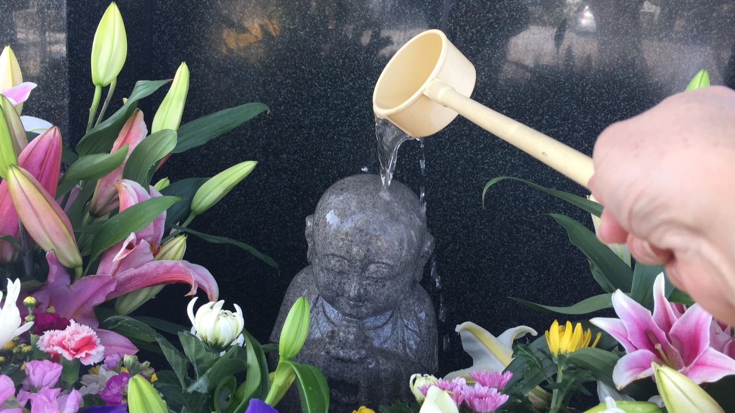 日本的「春分之日」要掃墓?不只有盂蘭盆節!認識「春彼岸」的文化