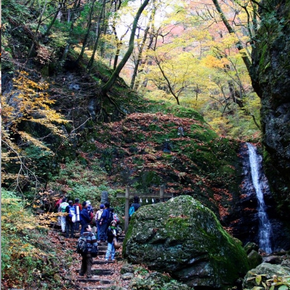 在東京來一趟晨型人朝活遊程！早起的鳥兒這幾個景點絕對不能錯過