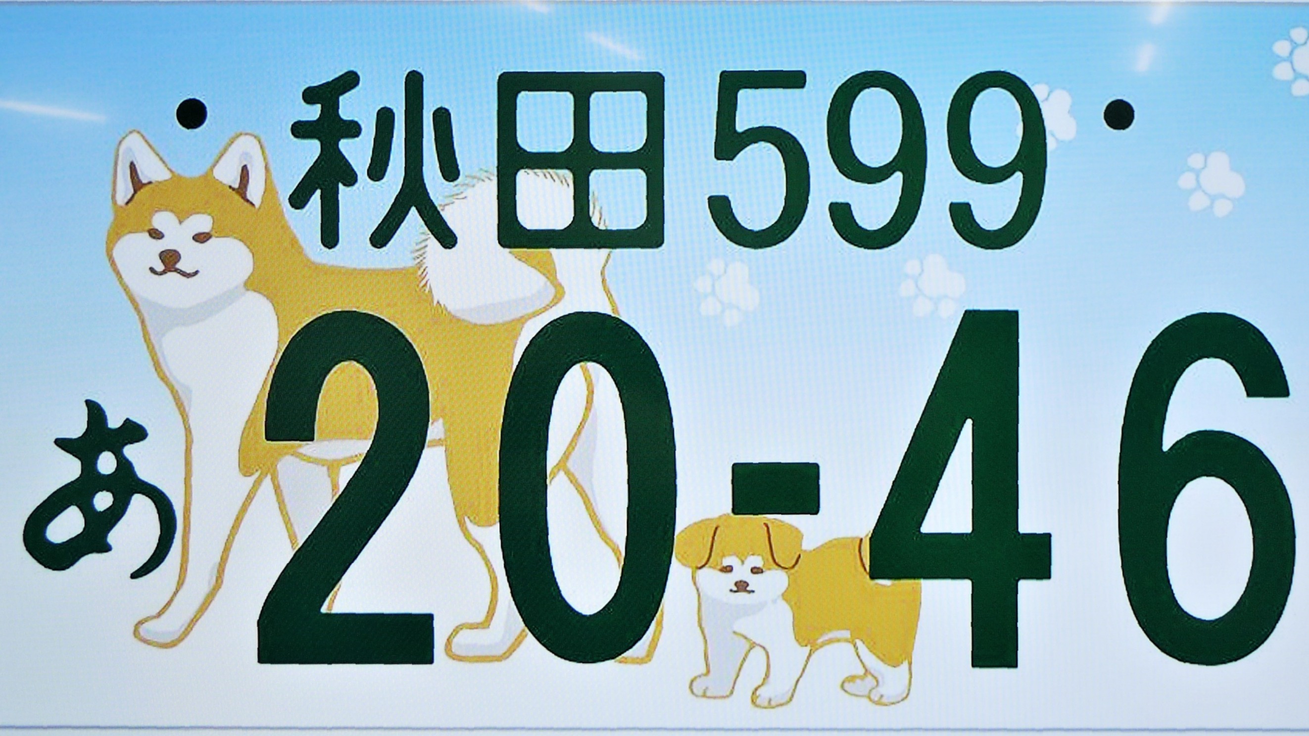 日本最萌最可愛的車牌，秋田犬特別車牌引起廣大網友關注