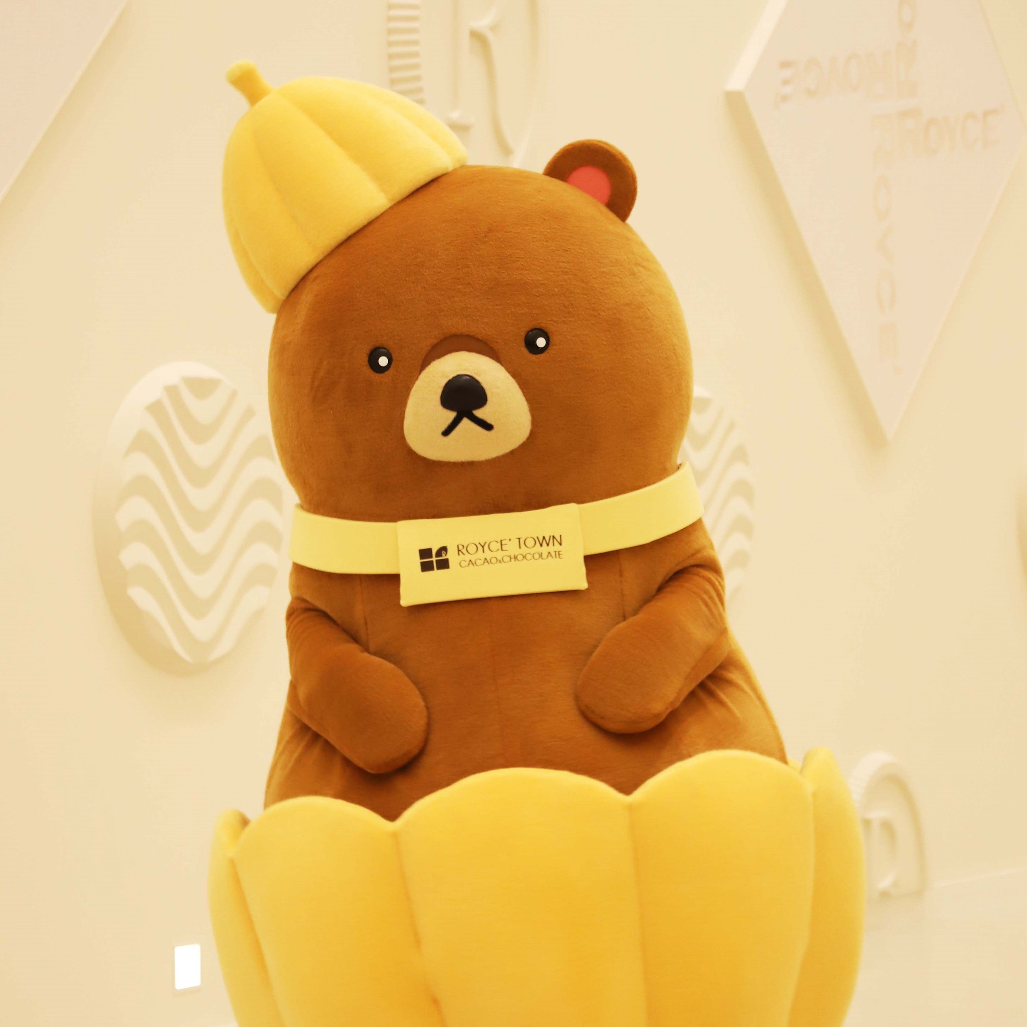 ROYCE'也有吉祥物？頭戴可可果殼的「可可熊」，只在ROYCE'CACAO＆CHOCOLATE TOWN出沒