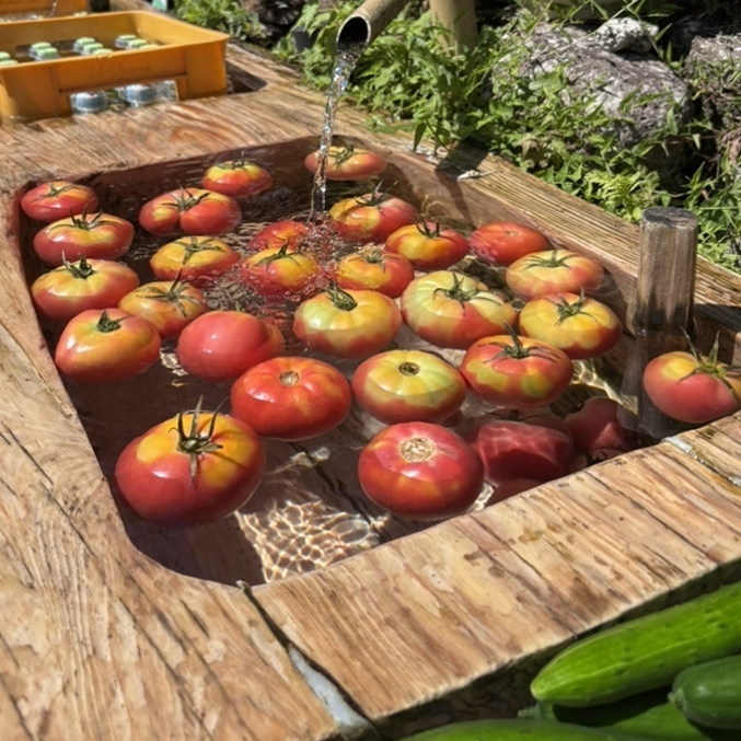 在岐阜付知峽的秘境中體驗流水素麵「不動滝 ひろづき」，還有天然泉水冰鎮過的新鮮蔬果可品嚐