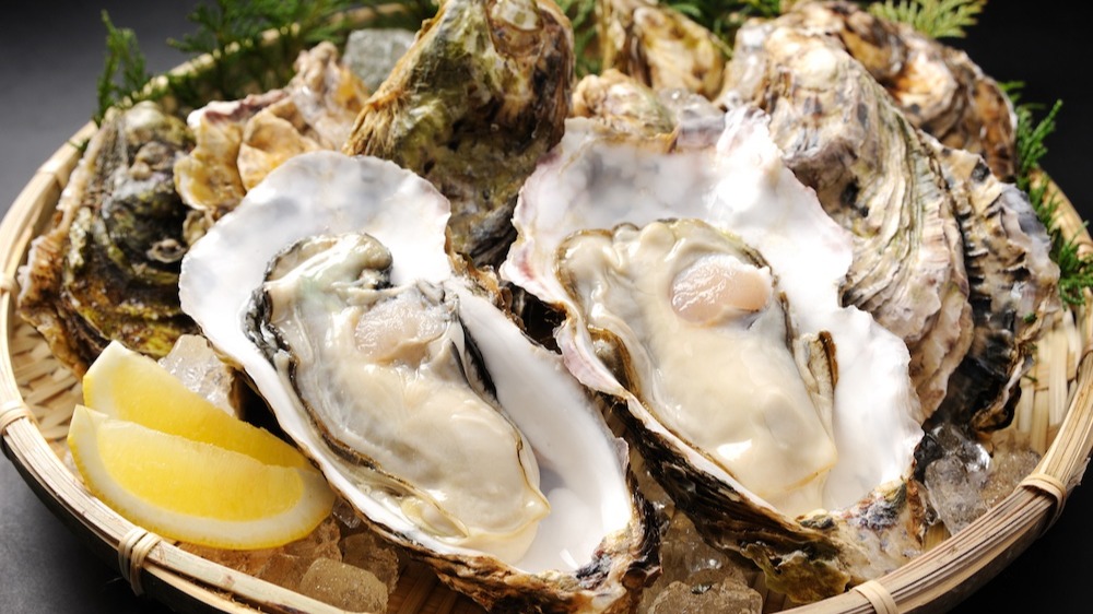 舌尖上的廣島冬日旬味 從檸檬鍋、牡蠣六吃到美食市集　走進暖味暖心的滋補饗宴