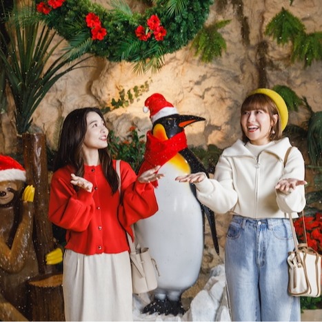 沖繩水族館DMM Kariyushi聖誕特別活動登場!打造沖繩夢幻打卡熱點