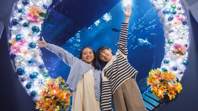 沖繩水族館DMM　Kariyushi聖誕特別活動登場！打造沖繩夢幻打卡熱點
