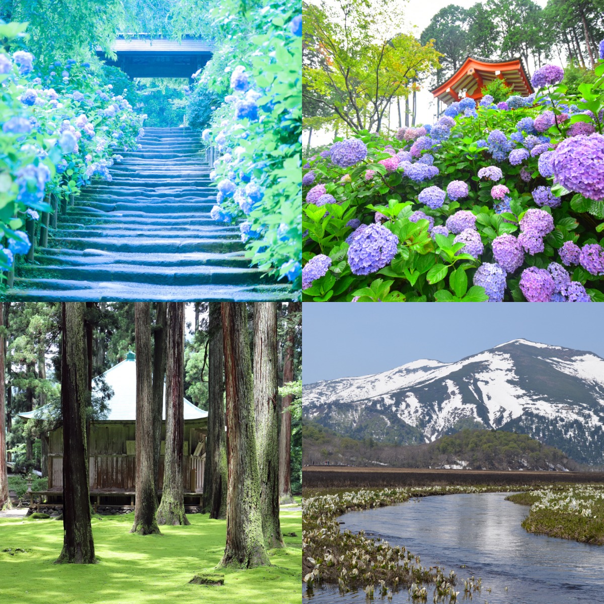日本六月適合去哪裡？日本六月景點十選！一起走入詩情畫意雨中絕景吧