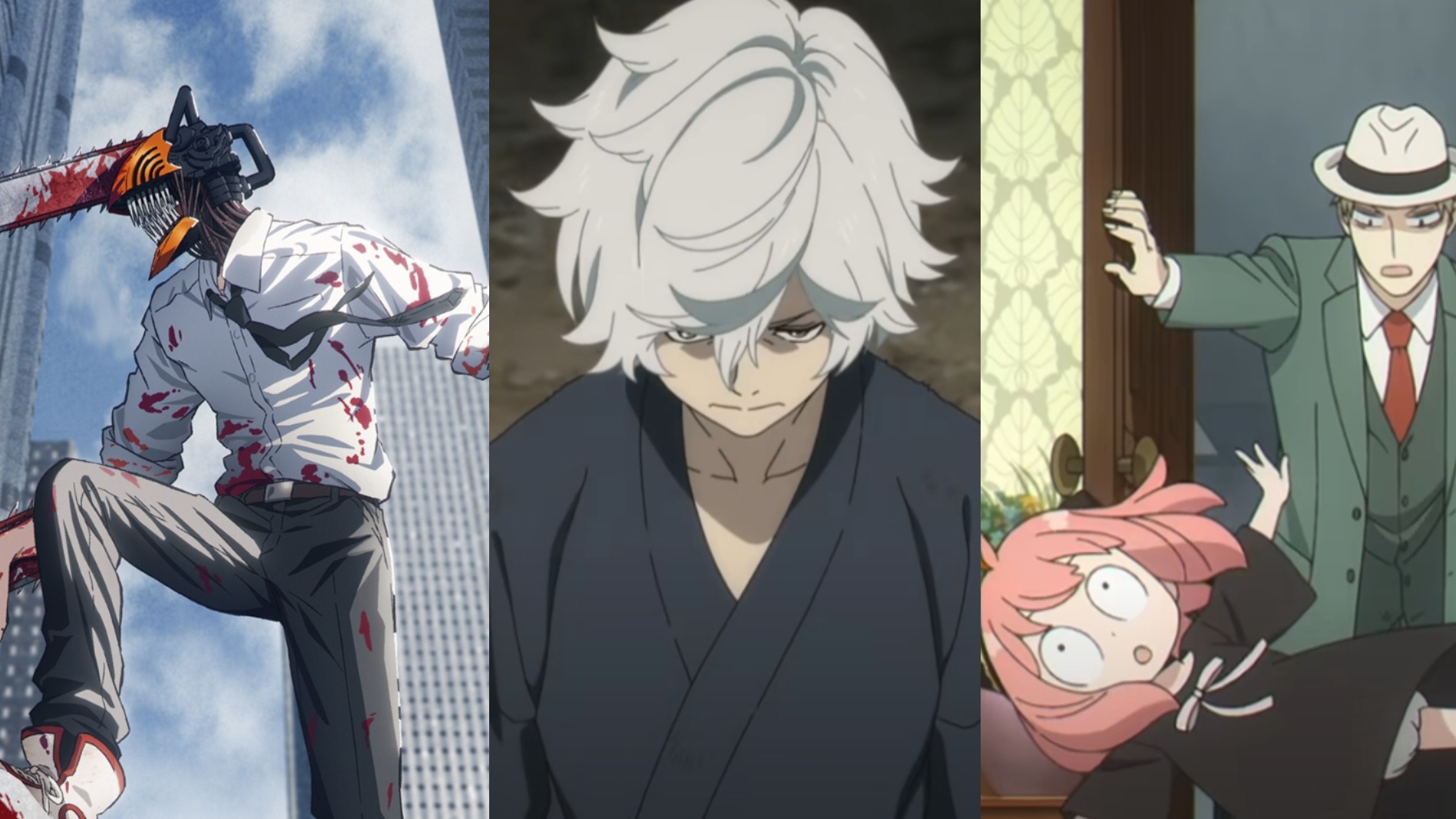 不只有《SPY×FAMILY間諜家家酒》！《少年Jump+》人氣改編動畫必看精選