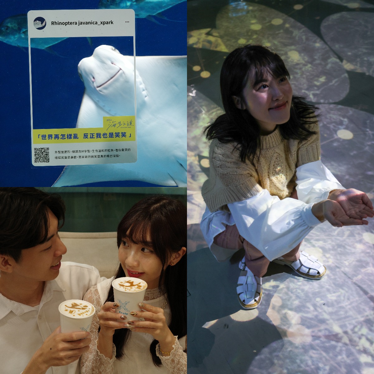 Xpark 12月浪漫又嗨森？365 種海生之道、冬の水族館戀愛物語繽紛亮點等你來體驗！