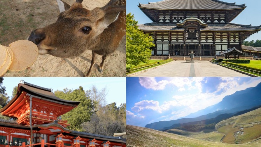 奈良必去景點10選!神社佛寺×絕景山林×可愛小鹿,感受古都最療癒的風景