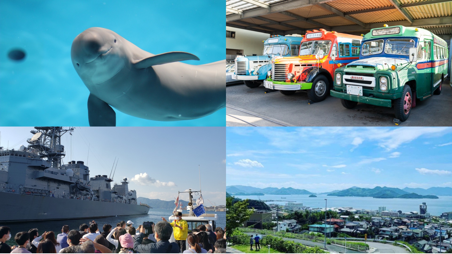 FUN寒假！ 發現廣島親子同遊人氣熱點 探索瀨戶內海的祕密 小而美的宮島水族館