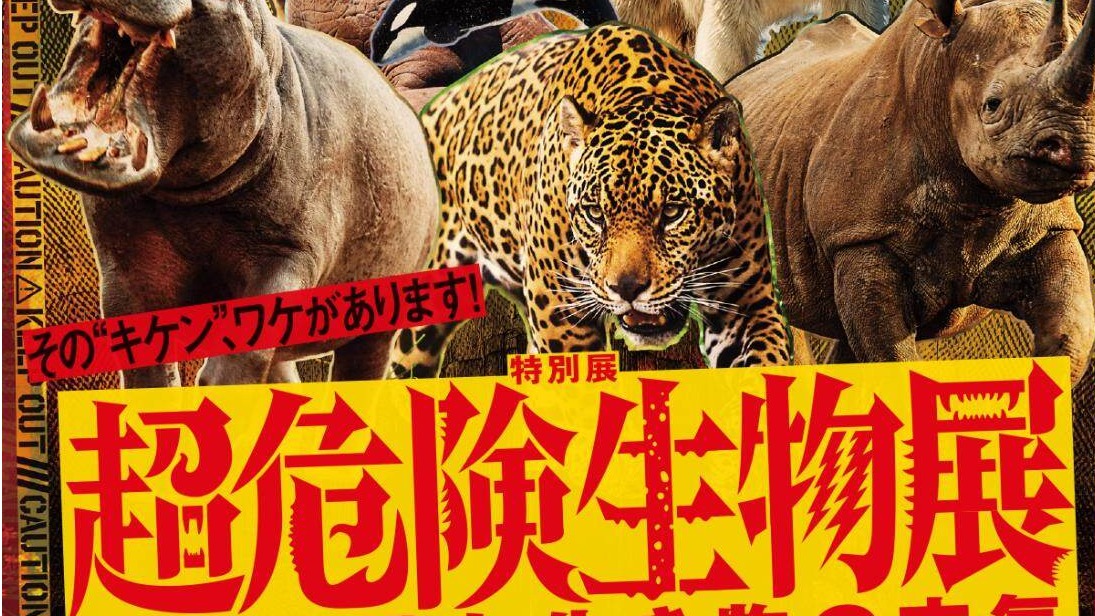 超危險生物展：走進東京上野國立科學博物館，從科學視角探索生物的生存極限