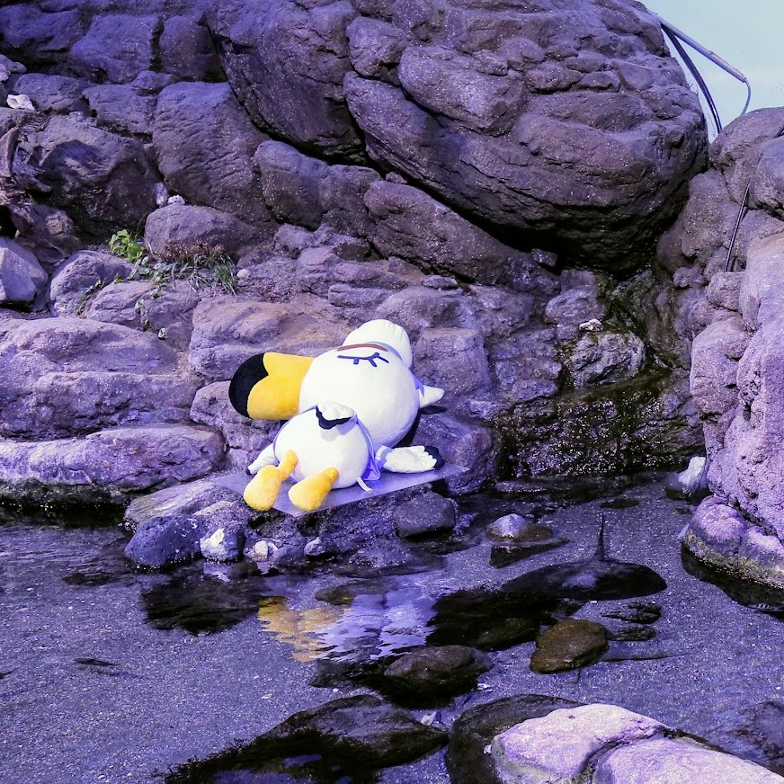 集合啦!動物森友會水族館化身實境  橫濱八景島海島樂園x動森聯名夏日海洋生物展